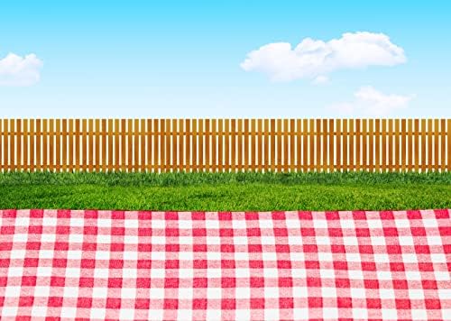 Loccor 9x6ft Fabric BBQ Téma Party pozadie Plaid na tráve rustikálne doska modrá obloha vonkajšie piknik fotografie